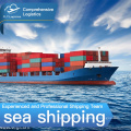 Top 10 sea/ ocean shipping agency from China to usa, UK . Germany amazon FBA with DDP price